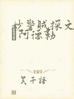 妙警贼探文森特·阿德勒封面