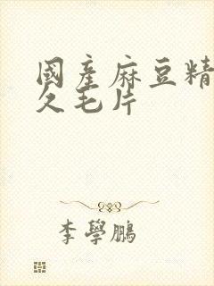 国产麻豆精品久久毛片