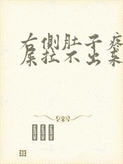 右侧肚子疼想拉屎拉不出来怎么回事