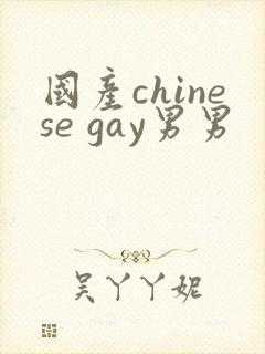 国产chinese gay男男