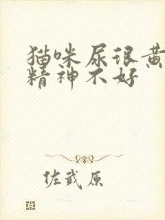 猫咪尿很黄的尿精神不好封面