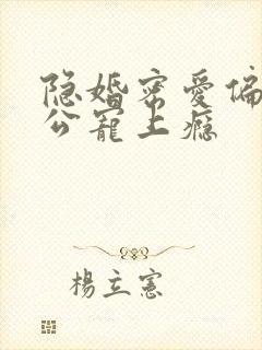 隐婚密爱偏执老公宠上瘾