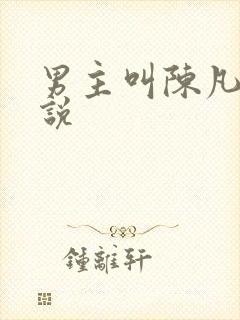 男主叫陈凡的小说