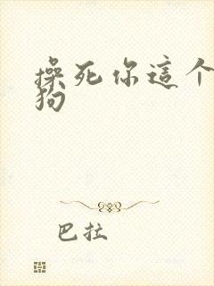 操死你这个骚母狗