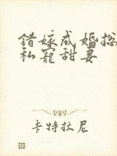 错嫁成婚总裁的私宠甜妻