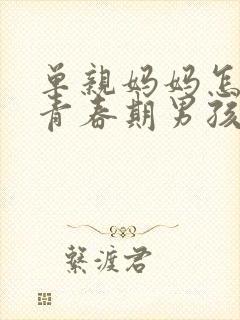 单亲妈妈怎样和青春期男孩沟通封面