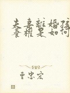 夫妻离婚孩子抚养权是如何判定的