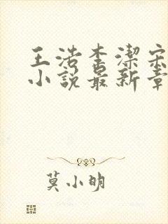 王浩李洁宋晓曼小说最新章节更新时间