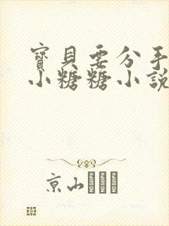 宝贝要分手by小糖糖小说免费阅读