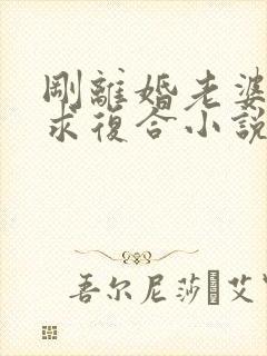 刚离婚老婆就跪求复合小说全文免费阅读