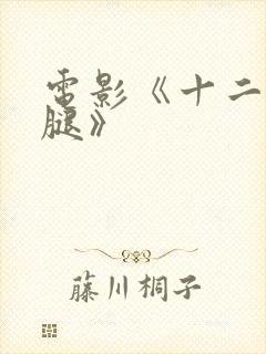 电影《十二路谭腿》