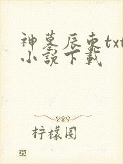 神墓辰东txt小说下载