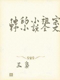 他的小祖宗甜又野小说全文免费阅读