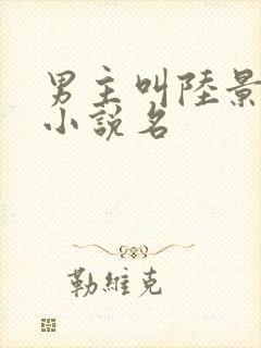 男主叫陆景霆的小说名