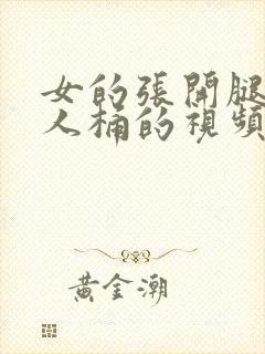 女的张开腿让男人桶的视频免费