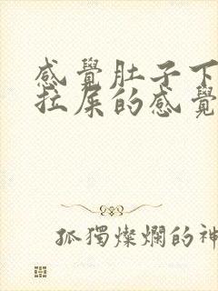 感觉肚子下坠想拉屎的感觉怎么回事