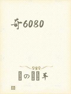 奇6080