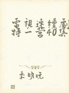 电视连续剧我的特一营40集