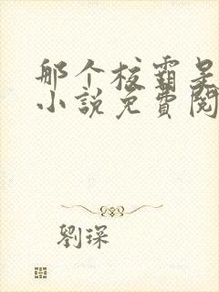 那个校霸是我的小说免费阅读