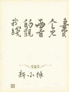 我的两个妻子在线观看免费版电视剧全集封面