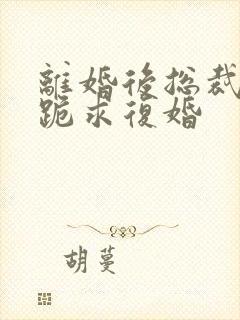 离婚后总裁天天跪求复婚