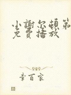 小谢尔顿第六季免费播放