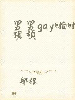 男男gay啪啪视频