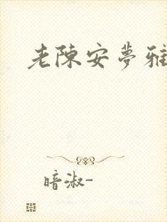 老陈安梦雅小说