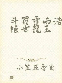 斗罗霍雨浩双穿绝世龙王