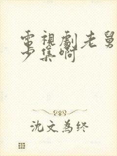 电视剧老舅共多少集啊