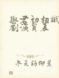 与君初相识电视剧演员表