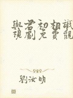 与君初相识 电视剧免费观看完整版