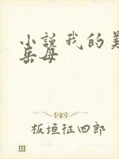 小说 我的美艳岳母