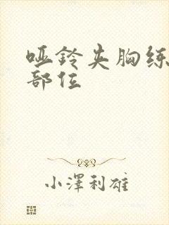 哑铃夹胸练哪个部位