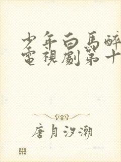 少年白马醉春风电视剧第十五集封面