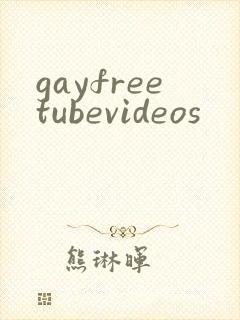 gayfreetubevideos
