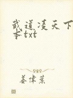 武道凌天下载全本txt