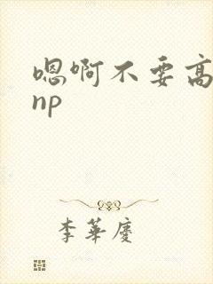 嗯啊不要高h np