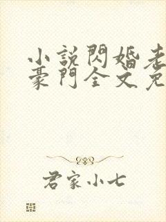 小说闪婚老公是豪门全文免费阅读