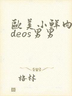 欧美小鲜肉videos男男