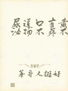 尿道口有黄色分泌物不疼不痒