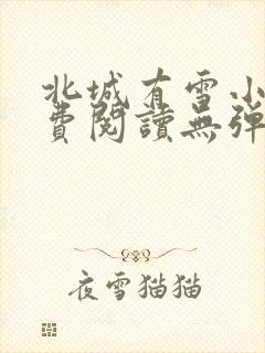 北城有雪小说免费阅读无弹窗封面