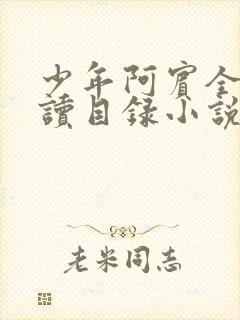 少年阿宾全文阅读目录小说大全