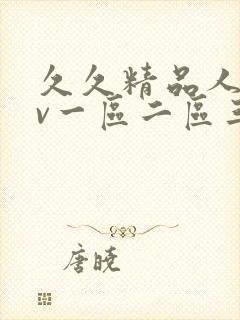 久久精品人妻av一区二区三区