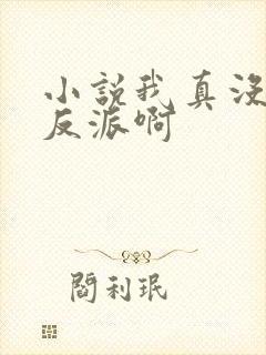 小说我真没想当反派啊