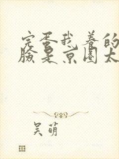 完蛋我养的小白脸是京圈太子爷阅读