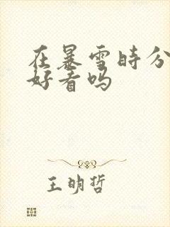 在暴雪时分小说好看吗封面