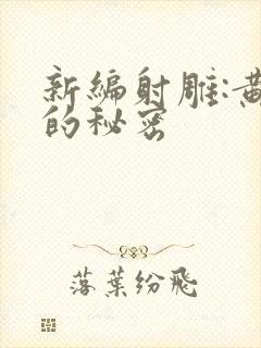 新编射雕:黄蓉的秘密封面