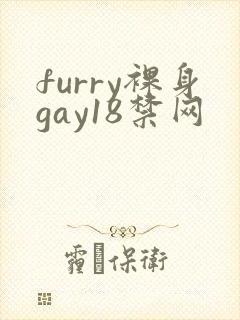 furry裸身gay18禁网