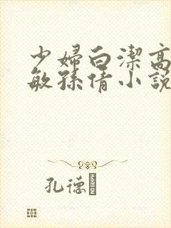 少妇白洁高义张敏孙倩小说